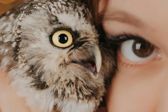 카지노 엠알 포춘 지원